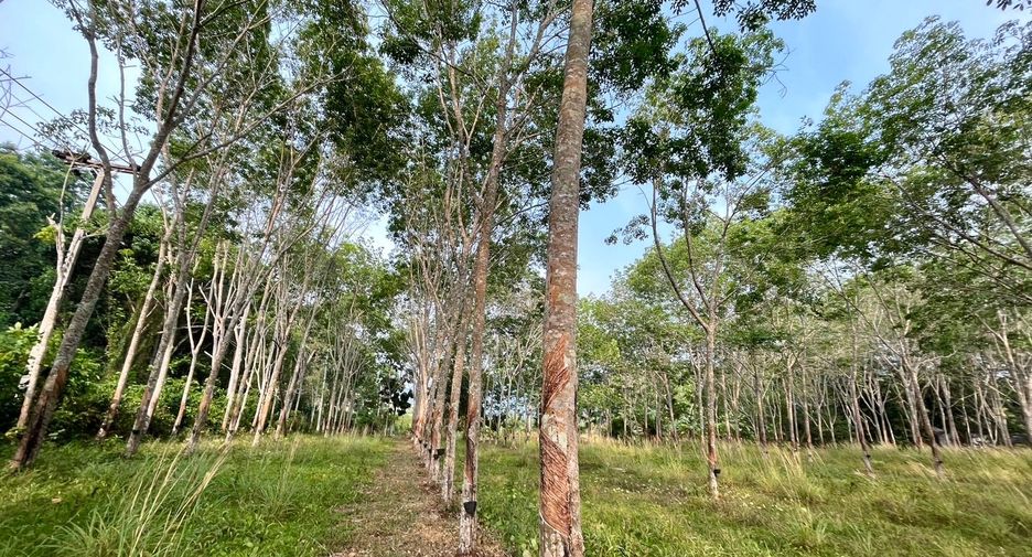 ขาย ที่ดิน ใน ตะกั่วทุ่ง, พังงา