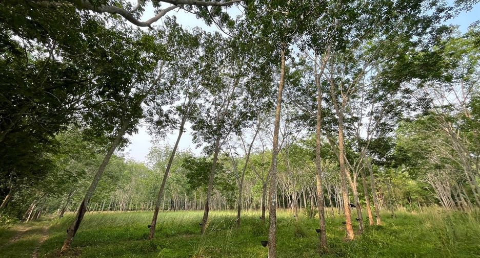 ขาย ที่ดิน ใน ตะกั่วทุ่ง, พังงา