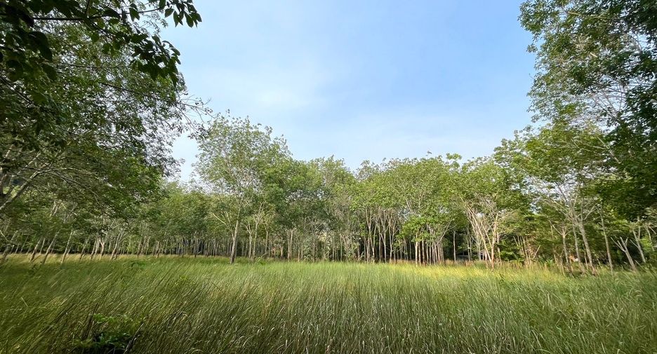 ขาย ที่ดิน ใน ตะกั่วทุ่ง, พังงา