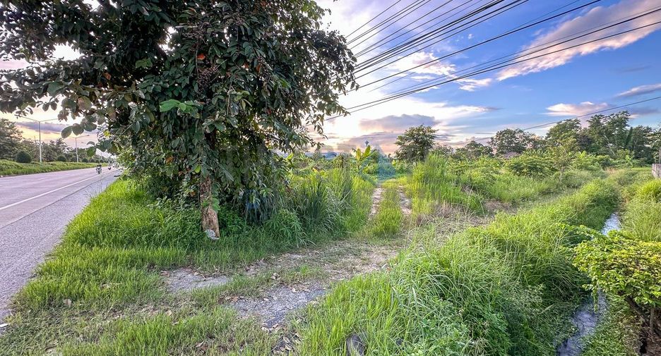For rent land in Doi Saket, Chiang Mai