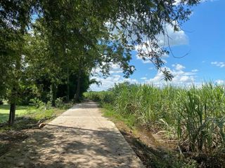 For sale land in Bueng Samakkhi, Kamphaeng Phet