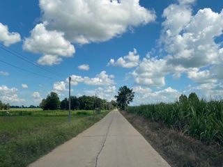 For sale land in Bueng Samakkhi, Kamphaeng Phet