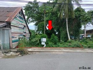 For sale land in Phunphin, Surat Thani