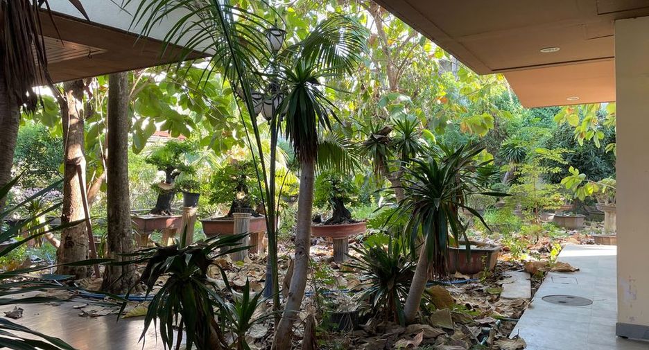 Haus zur Miete und zum Kauf mit 4 Zimmer in Phra Khanong, Bangkok