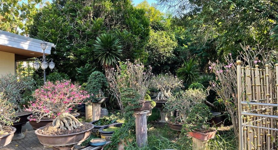 Haus zur Miete und zum Kauf mit 4 Zimmer in Phra Khanong, Bangkok