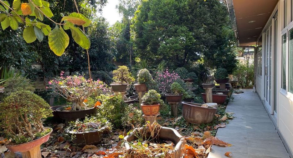 Haus zur Miete und zum Kauf mit 4 Zimmer in Phra Khanong, Bangkok