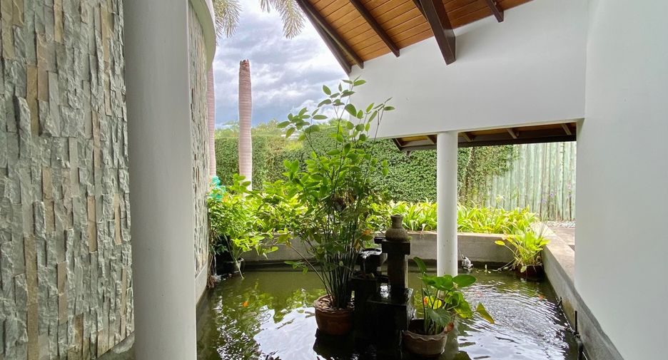 出租 和 出售 3 卧室 独立屋 在 Mae Rim, Chiang Mai