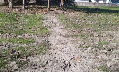 For sale land in Hang Dong, Chiang Mai