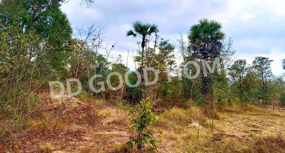 For sale land in Mueang Lampang, Lampang