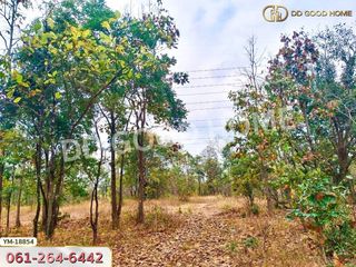 For sale land in Mueang Lampang, Lampang