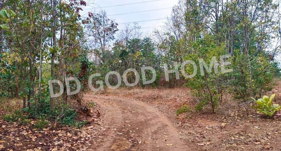 For sale land in Mueang Lampang, Lampang