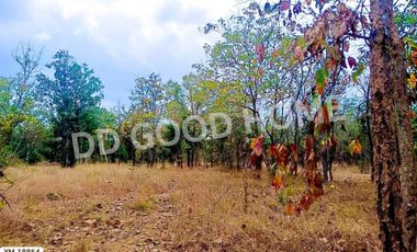 For sale land in Mueang Lampang, Lampang
