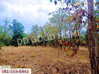 For sale land in Mueang Lampang, Lampang