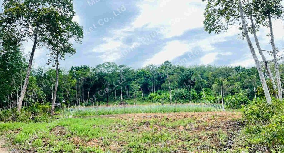 ขาย ที่ดิน ใน ถลาง, ภูเก็ต