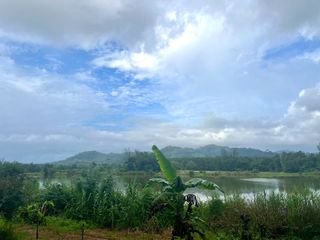 出售 土地 在 Takua Pa, Phangnga