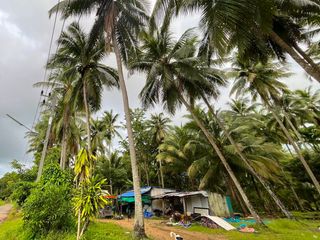 出售 土地 在 Takua Pa, Phangnga