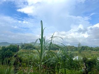 出售 土地 在 Takua Pa, Phangnga
