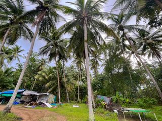 出售 土地 在 Takua Pa, Phangnga