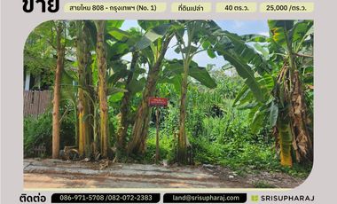 ขาย ที่ดิน ใน สายไหม, กรุงเทพฯ