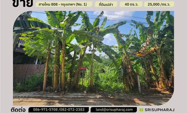 ขาย ที่ดิน ใน สายไหม, กรุงเทพฯ