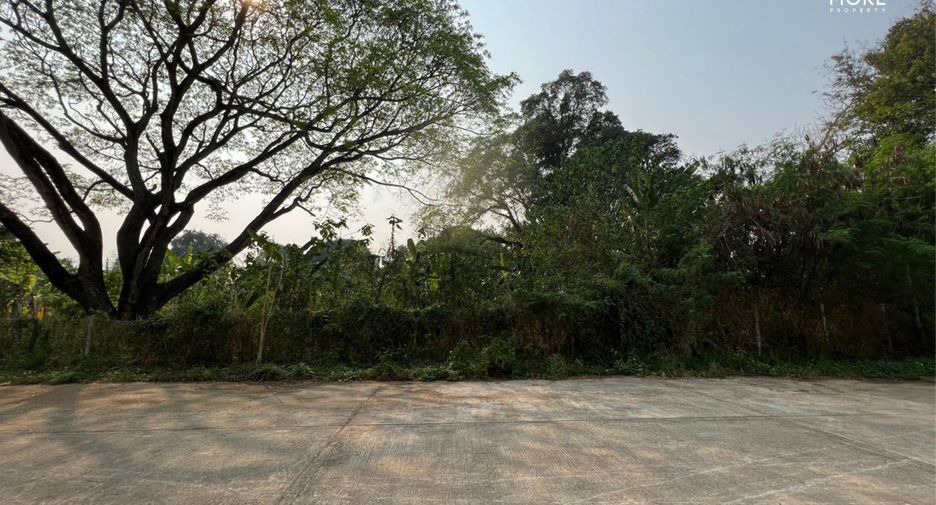 Terreno en venta en Mae Rim, Chiang Mai