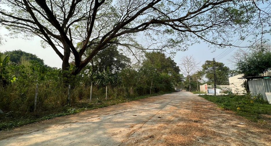 Terreno en venta en Mae Rim, Chiang Mai