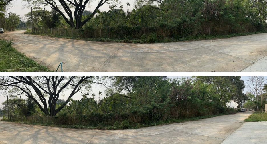 Terreno en venta en Mae Rim, Chiang Mai