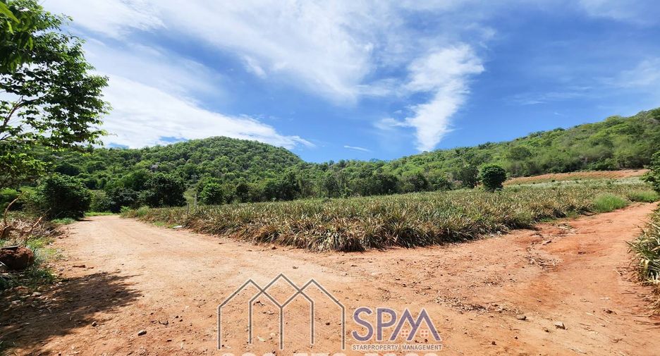 For sale land in Pran Buri, Prachuap Khiri Khan