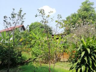 For rent 3 bed house in Mueang Lampang, Lampang