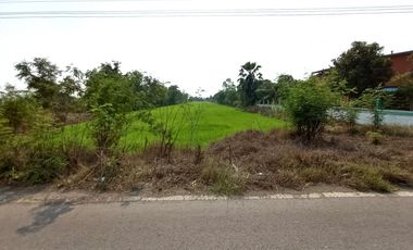 Продажа Участок в Phra Nakhon Si Ayutthaya, Phra Nakhon Si Ayutthaya