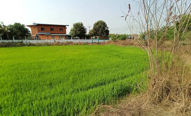 Продажа Участок в Phra Nakhon Si Ayutthaya, Phra Nakhon Si Ayutthaya