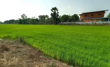 Продажа Участок в Phra Nakhon Si Ayutthaya, Phra Nakhon Si Ayutthaya