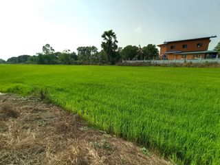 ขาย ที่ดิน ใน พระนครศรีอยุธยา, พระนครศรีอยุธยา