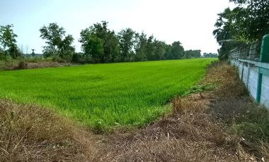 Продажа Участок в Phra Nakhon Si Ayutthaya, Phra Nakhon Si Ayutthaya