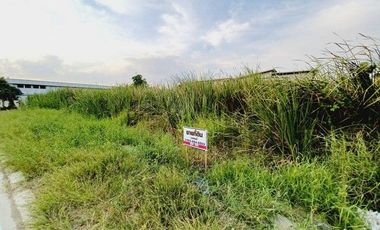 ขาย ที่ดิน ใน ธัญบุรี, ปทุมธานี
