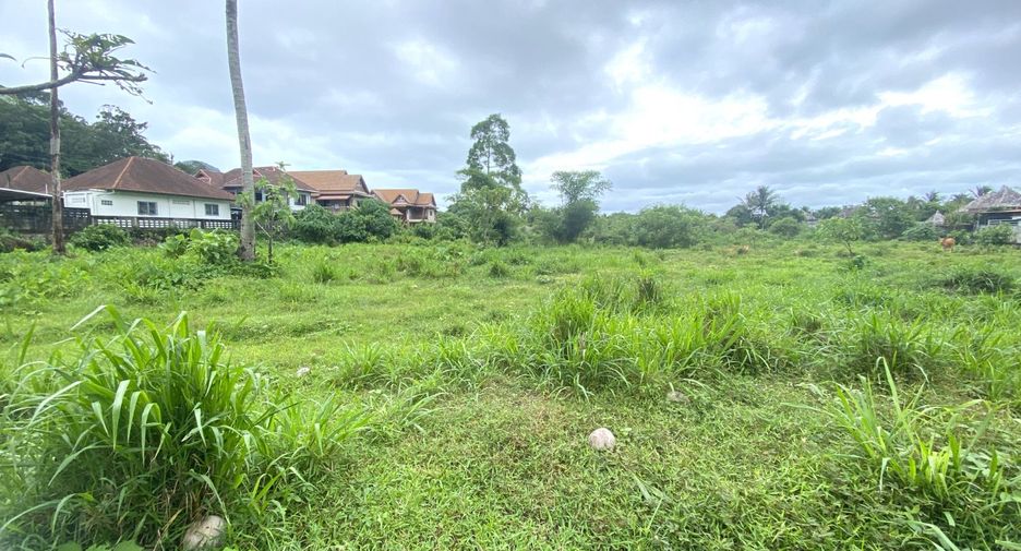 For sale land in Kathu, Phuket