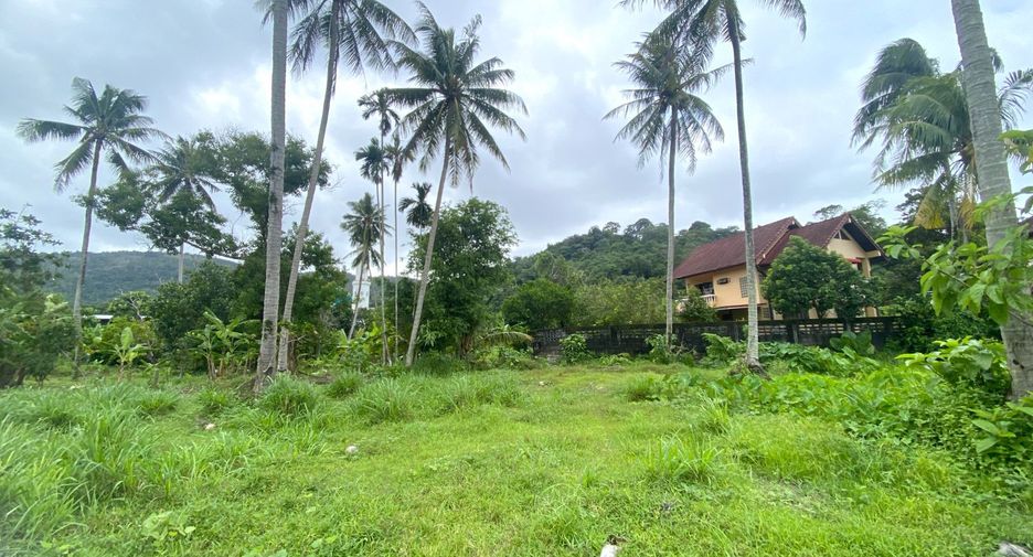 For sale land in Kathu, Phuket