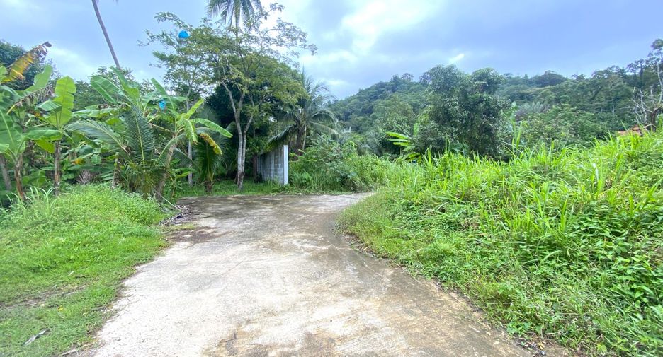 For sale land in Kathu, Phuket