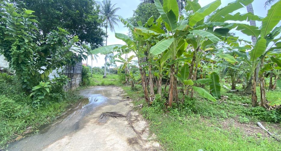 For sale land in Kathu, Phuket