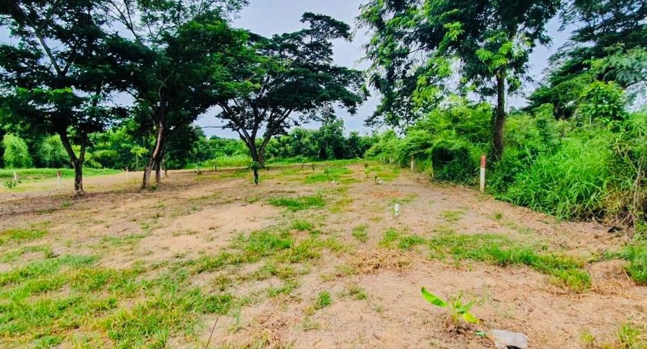 For sale land in Doem Bang Nang Buat, Suphan Buri