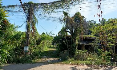 Продажа Участок в Khao Khitchakut, Чантхабури