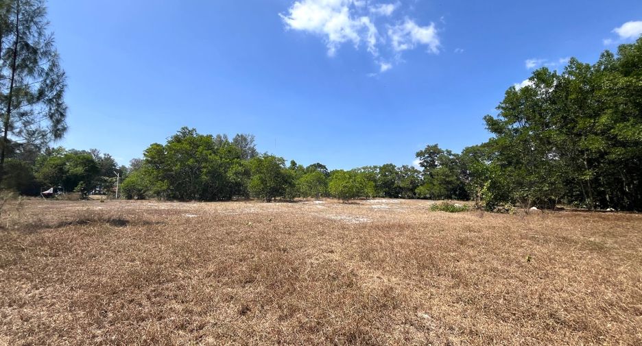 For sale land in Thai Mueang, Phang Nga