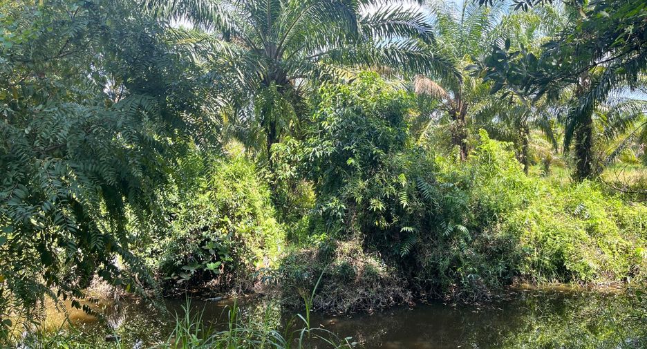 For sale land in Thai Mueang, Phang Nga