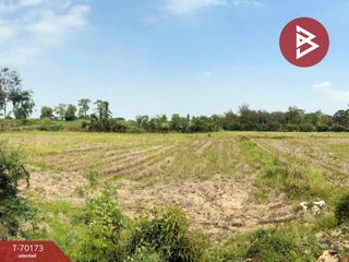 For sale land in Mueang Phichit, Phichit
