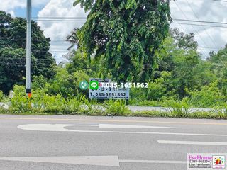 For sale land in Tha Sae, Chumphon