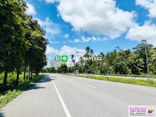 For sale land in Tha Sae, Chumphon