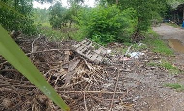 For sale land in Nong Suea, Pathum Thani
