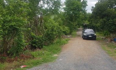 For sale land in Nong Suea, Pathum Thani