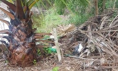 For sale land in Nong Suea, Pathum Thani