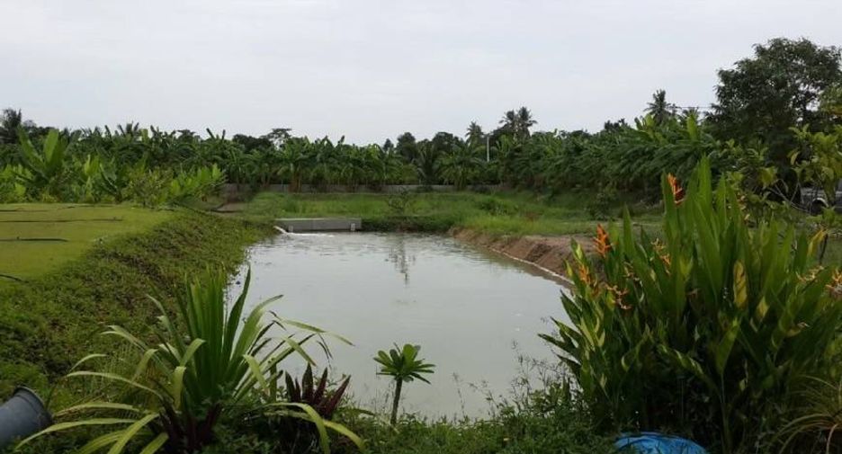 For sale land in Damnoen Saduak, Ratchaburi